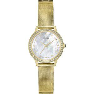 Montre GUESS W0647L3