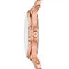Montre Michael kors MK6641