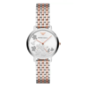 Montre EMPORIO ARMANI AR11113