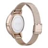 Montre Hugo Boss 1502424