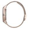 Montre Hugo Boss 1502424