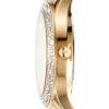 Montre MICHAEL KORS MK4555